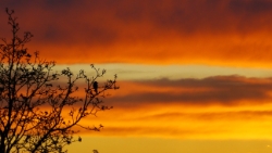 (2012-04) Coucher de soleil à la maison